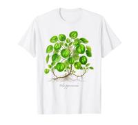 Chinese Money Plant Illustration Pilea peperomioides Value Graphic T-Shirt, Men, White, XL