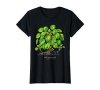 Chinese Money Plant Illustration Pilea peperomioides Value Graphic T-Shirt, Women, Black, M