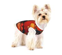 Chinese New Year Cats Cotton Dog Shirt â€“ Soft Breathable Dog Shirt for Dogs Cats Boy Girl Pet Tshirt,Suitable for Small Pets
