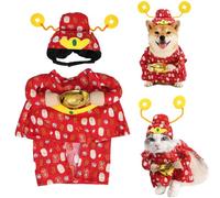 Chinese New Year Pet God of Wealth Cosplay Outfit