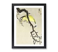 Chinese Oriole Bird On A Plum Blossom By Ohara Koson Asian Japanese Framed Print | A3 Black Framed Wall Art | Ready to Hang | Asian Floral Picture | Living Room Bedroom Lounge Office