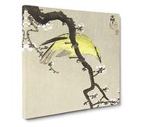 Chinese Oriole Bird on a Plum Blossom by Ohara Koson Canvas Print | Gallery Wrapped 30mm Frame Wall Art | 20x20 inches | Ready to Hang | Modern Animals Picture | Living Room Bedroom Lounge Office