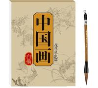 Chinese Painting White Drawing Copying Album, Chinese Calligraphy Paper Book, Tracing Writing Practice Paper Workbook, Beginner Chinese Painting Copybook (Flowers & Birds & Fish & Insects)