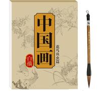 Chinese Painting White Drawing Copying Album, Chinese Calligraphy Paper Book, Tracing Writing Practice Paper Workbook, Album of Copies of Chinese Paintings (Flowers and Birds)
