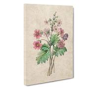 Chinese Primrose Flowers by Pierre-Joseph Redoute Canvas Print | Gallery Wrapped 30mm Frame Wall Art | 30x20 inches | Ready to Hang | Modern Floral Picture | Living Room Bedroom Lounge Office