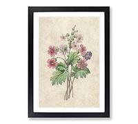 Chinese Primrose Flowers by Pierre-Joseph Redoute Framed Print | A2 Black Framed Wall Art | Ready to Hang | Modern Floral Picture | Living Room Bedroom Lounge Office