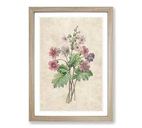 Chinese Primrose Flowers by Pierre-Joseph Redoute Framed Print | A2 Oak Framed Wall Art | Ready to Hang | Modern Floral Picture | Living Room Bedroom Lounge Office