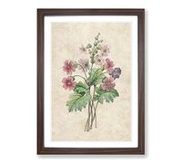Chinese Primrose Flowers by Pierre-Joseph Redoute Framed Print | A2 Walnut Framed Wall Art | Ready to Hang | Modern Floral Picture | Living Room Bedroom Lounge Office