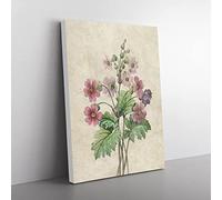 Chinese Primrose Flowers By Pierre Joseph Redoute Vintage Canvas Wall Art Print Ready to Hang, Framed Picture for Living Room Bedroom Home Office Décor, 60x40 cm (24x16 Inch)