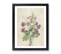 Chinese Primrose Flowers By Pierre Joseph Redoute Vintage Framed Print | A3 Black Framed Wall Art | Ready to Hang | Classic Floral Picture | Living Room Bedroom Lounge Office