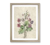 Chinese Primrose Flowers By Pierre Joseph Redoute Vintage Framed Print | A4 Oak Framed Wall Art | Ready to Hang | Classic Floral Picture | Living Room Bedroom Lounge Office