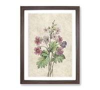 Chinese Primrose Flowers By Pierre Joseph Redoute Vintage Framed Print | A4 Walnut Framed Wall Art | Ready to Hang | Classic Floral Picture | Living Room Bedroom Lounge Office