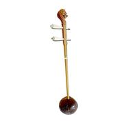 Chinese Style Traditional Sour Twig Natural Coconut Shell Erhu Stage Performance String Musical Instrument Erhu