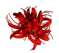 Chinese Styles Artificial Flower Hair Clip Long Tassels Side Barrette Wedding Hair Decoration Hair Styling Decoration