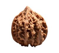Chinese Walnuts Fidget Hand Fidget for Relaxation & Focus