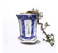 Chinoiserie Blue and White Porcelain, Retro Flower Pots, Hexagonal Six Patterns Decorative Plant Pots for Indoor