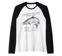 Chinook King Salmon Humpy Fish Design for Fisherman & Divers Raglan Baseball Tee