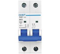 Chint NB1-63 Circuit Breaker 2P 10A 240/415V 6kA IEC 60947-2 179656