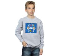 Chip N Dale Blue Frame Sweatshirt Disney Grey 12-13 Years