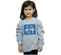 Chip N Dale Blue Frame Sweatshirt Disney Grey 5-6 Years