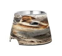 Chipmunks Cute Muddy Raised Pets Water Bowl Enhanced Stainless Steel Pets Dish Bowl for Medium Dogs Slow Down Eating