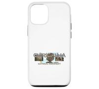 Chiricahua National Monument Case for iPhone 12/12 Pro