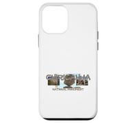 Chiricahua National Monument Case for iPhone 12 mini