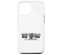 Chiricahua National Monument Case for iPhone 12 Pro Max