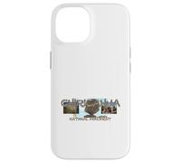 Chiricahua National Monument Case for iPhone 14