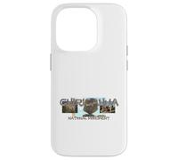 Chiricahua National Monument Case for iPhone 14 Pro