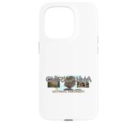 Chiricahua National Monument Case for iPhone 15 Pro
