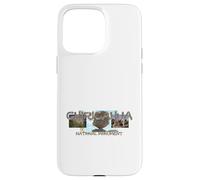 Chiricahua National Monument Case for iPhone 15 Pro Max