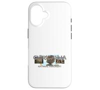 Chiricahua National Monument Case for iPhone 16