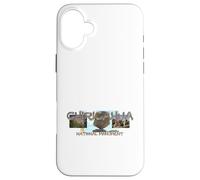Chiricahua National Monument Case for iPhone 16 Plus