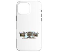 Chiricahua National Monument Case for iPhone 16 Pro Max