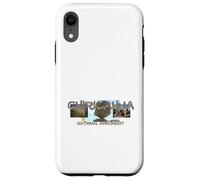 Chiricahua National Monument Case for iPhone XR