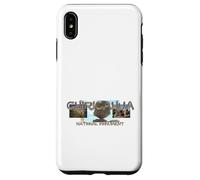 Chiricahua National Monument Case for iPhone XS Max