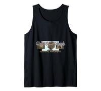 Chiricahua National Monument Tank Top