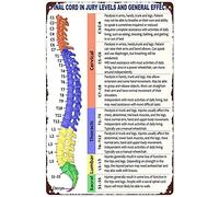 Chiropractor Spinal Cord Injury Levels Wall Decor Art Print Poster Nostalgic Arts Decor Novelty Decorative Crafts Best Gift For Birthday Christmas Housewarming Retro Metal Tin Sign 8X12 Inches