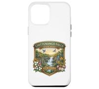 Chittenango Falls State Park Cazenovia New York Souvenir Case for iPhone 12 Pro Max