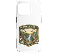 Chittenango Falls State Park Cazenovia New York Souvenir Case for iPhone 16 Pro
