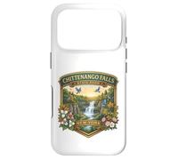 Chittenango Falls State Park Cazenovia New York Souvenir Case for iPhone 17 Pro