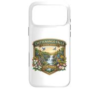 Chittenango Falls State Park Cazenovia New York Souvenir Case for iPhone 17 Pro Max
