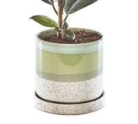 Chive - 5” Big Minute, Succulent, Cactus Pot and Saucer Ceramic Flower and Plant Container with Drainage Hole and Detachable Saucer Great for Indoor/Outdoor Garden Decor (Green Cement)
