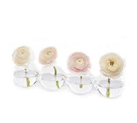 Chive ‘Caterpillar’ Multi-Chambered Flower Vase - Cute, Beautiful Glass Vase for Flowers & House Plants - Large