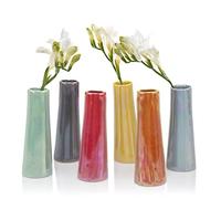 Chive ‘Galaxy’ Small Flower Vase - Cute, Beautiful Glass Vase for Flowers & House Plants - Set of 6 Assorted Colours - Orange Mix