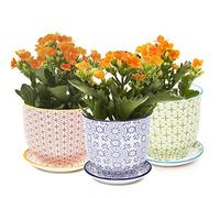 Chive ‘Liberte’ Ceramic Plant Pots - Cute, Beautiful Pots for Flowers & House Plants Indoor & Outdoor - Set of 3 - Crimson, Green & Blue