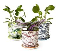 CHIVE 'Liberte' Set of 3 Ceramic Succulent Planters, Cute Vintage Style Pots for Indoor Plants, Beautiful Home and Kitchen Decor, Green Red Blue (Mix 8)