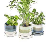Chive ‘Minute’ Ceramic Plant Pots - Cute, Beautiful Pots for Flowers & House Plants Indoor & Outdoor - Set of 3 - Green & Blue
