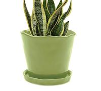 Chive ‘Tika’ Ceramic Planter Pot - Large 8" Succulent Pots for Indoor & Outdoor House Plants - Cute, Beautiful Modern Farmhouse Kitchen Decor - Green